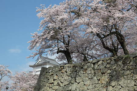 津山城 - 012