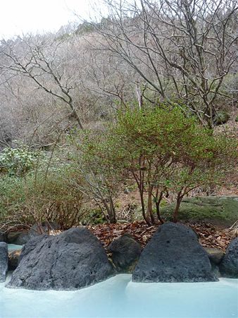 DSCN0561