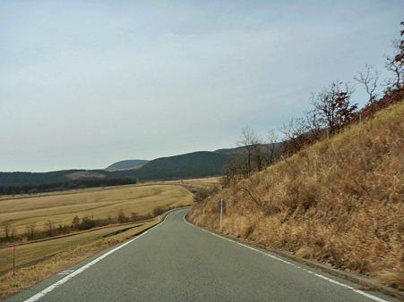 DSCN0793