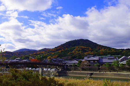 IMGP6263