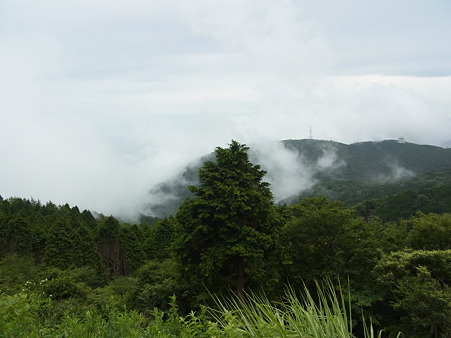 R0012350