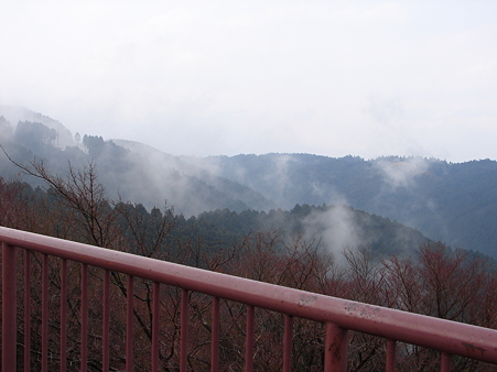 DSC08187