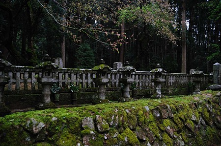 1104271537_DSC_0238