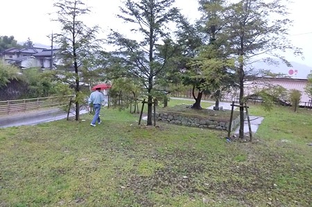 1104271653_P1750304
