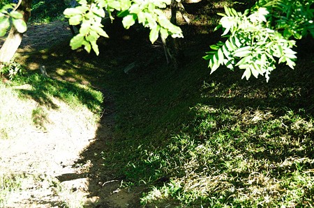 1107120717_DSC_5349