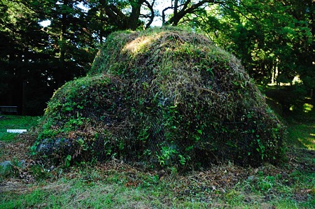 1107120719_DSC_5365