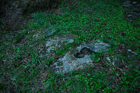 1107120719_DSC_5374