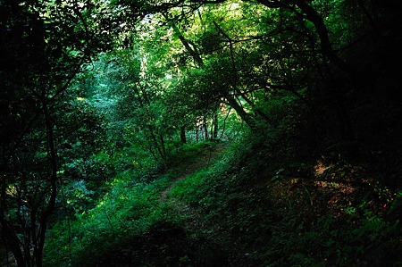 1107120746_DSC_5493