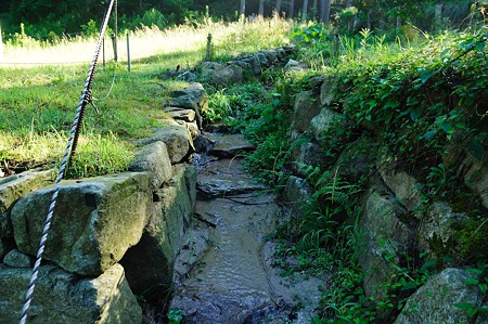 1107120753_DSC_5521
