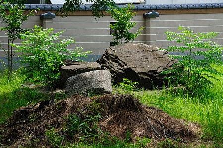 1107121413_DSC_5639