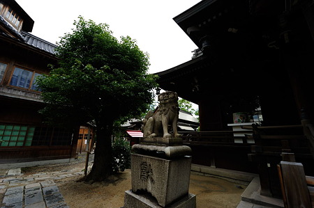1107131650_DSC_3920