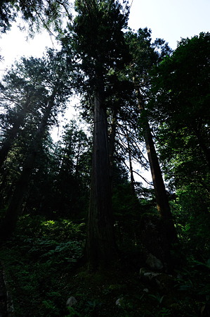 1108130813_DSC_4297