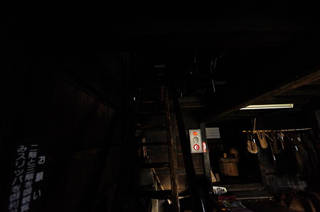 1108131336_DSC_4610