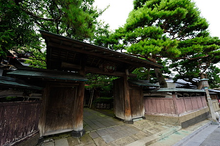1108131557_DSC_4868