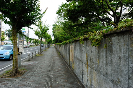 1108131700_DSC_4987