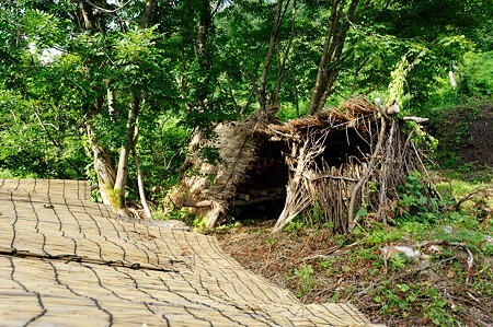 1108141542_DSC_6200