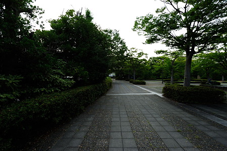 1108151730_DSC_6851