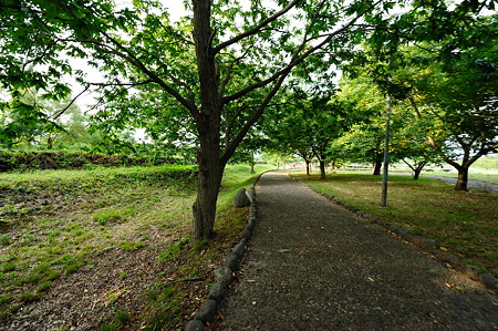 1108161656_DSC_7825
