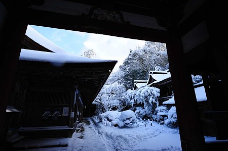1101011433_DSC_6581
