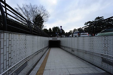1101040828_DSC_8286