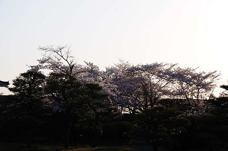 1104121739_DSC_4980