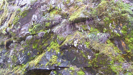 DSCF4648