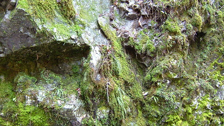 DSCF4649