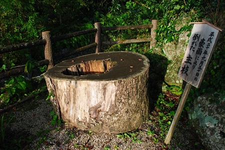 hikudukurino_ookusu04