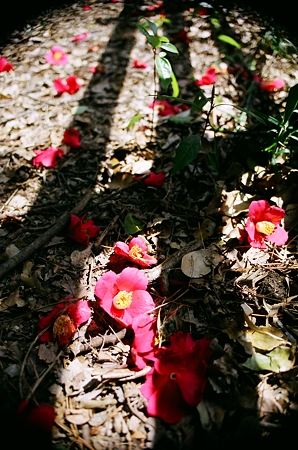 PICT0002
