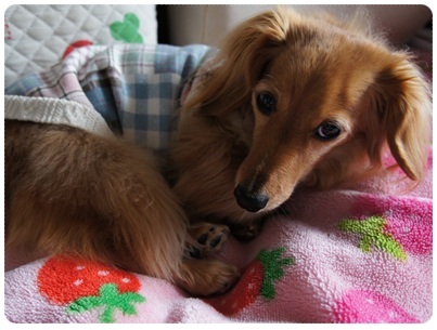 20120404 JURI