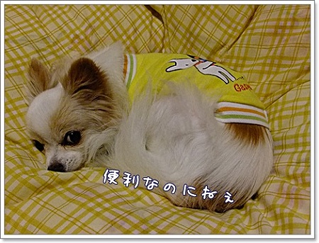 便利