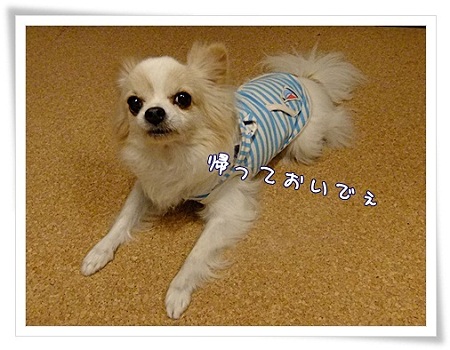 帰って