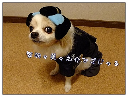 智羽々美々之介