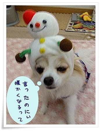 言ったのに
