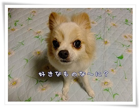 な~に?