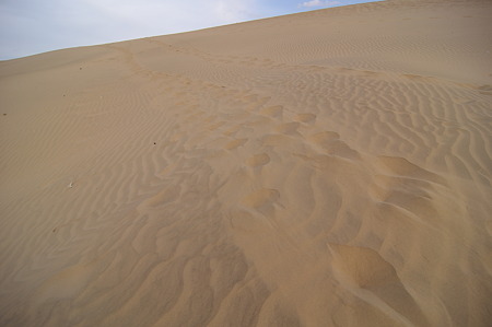 IMGP8092