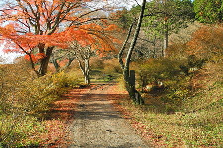 鳥見山公園・2