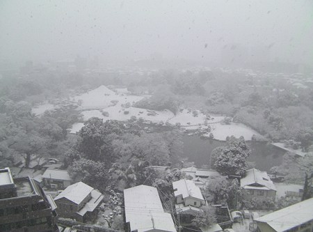 歴史的大雪　2010年1月13日