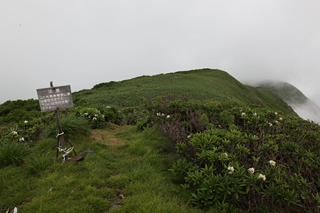 c-110710-105020 牛ヶ岳の少し先