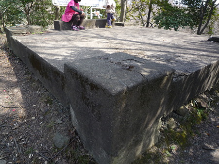 P1020282