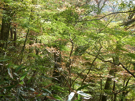 金剛山 (3)