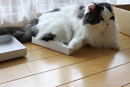 小さすぎ