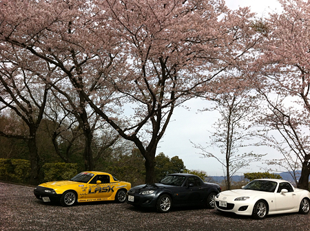 写真 1