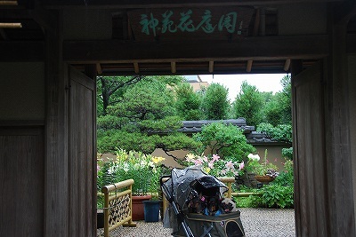 花庭園