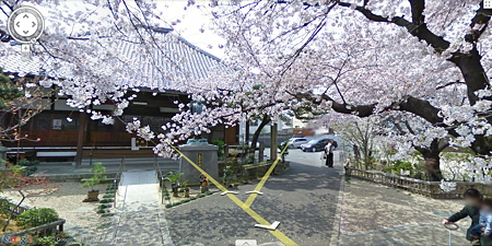 kyoto moransi