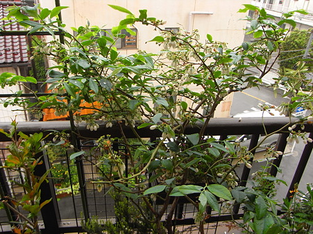 R0012239