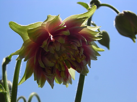 R0012310