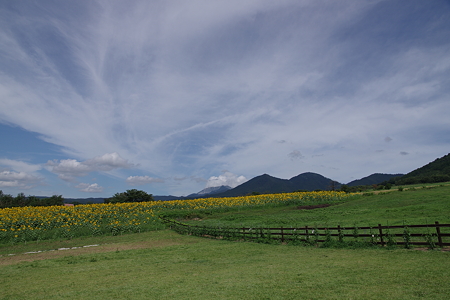 20110807_103130