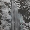 吹雪時の秋保大滝