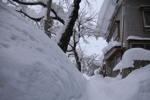 Photos: 雪に埋もれる歩道02-12.01.14